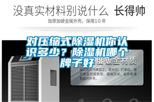 對壓縮式除濕機(jī)你認(rèn)識(shí)多少？除濕機(jī)哪個(gè)牌子好