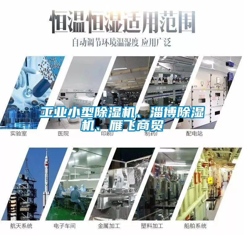 工業(yè)小型除濕機(jī)、淄博除濕機(jī)、雁飛商貿(mào)