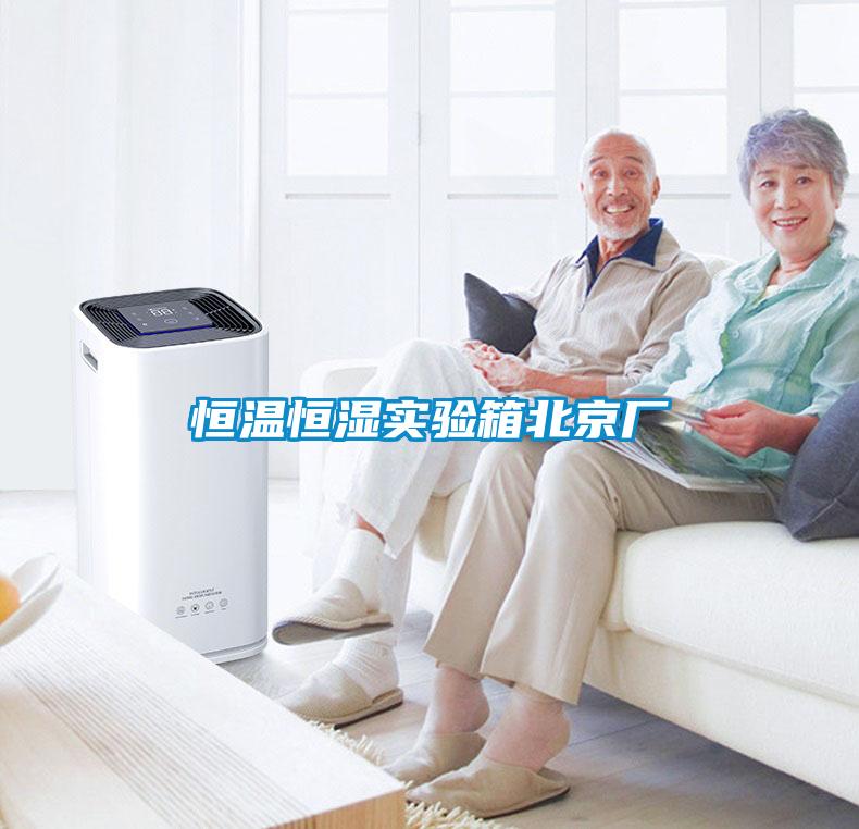 恒溫恒濕實(shí)驗(yàn)箱北京廠(chǎng)