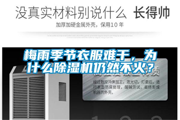 梅雨季節(jié)衣服難干，為什么除濕機(jī)仍然不火？