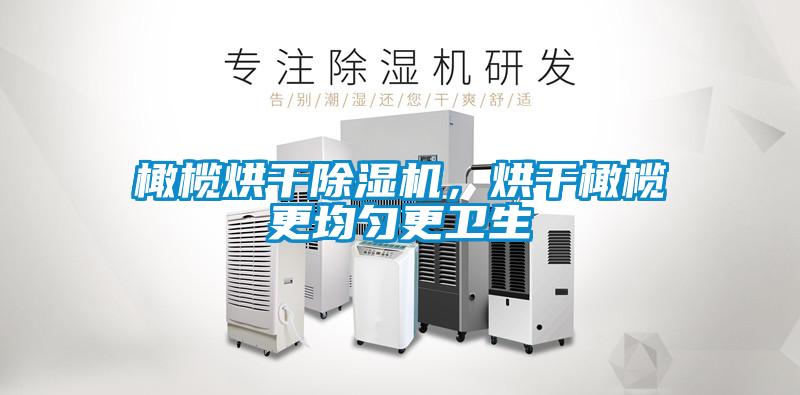 橄欖烘干除濕機(jī)，烘干橄欖更均勻更衛(wèi)生