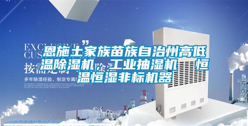 恩施土家族苗族自治州高低溫除濕機，工業抽濕機  恒溫恒濕非標機器