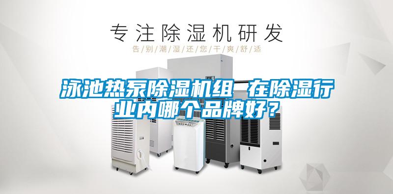 泳池熱泵除濕機組 在除濕行業內哪個品牌好？