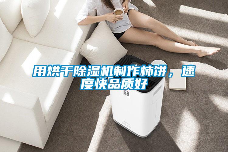 用烘干除濕機(jī)制作柿餅，速度快品質(zhì)好