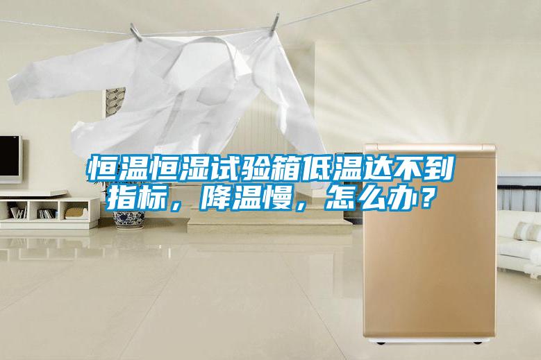 恒溫恒濕試驗箱低溫達不到指標，降溫慢，怎么辦？