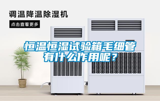 恒溫恒濕試驗箱毛細(xì)管有什么作用呢？