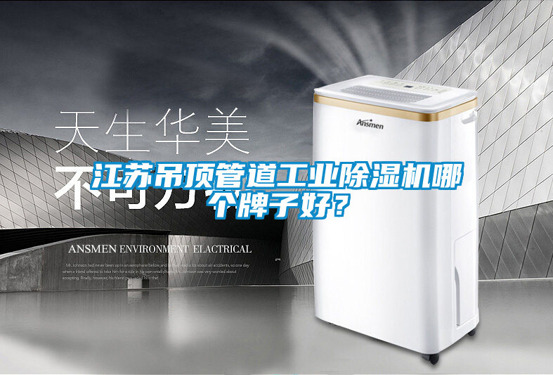 江蘇吊頂管道工業除濕機哪個牌子好？