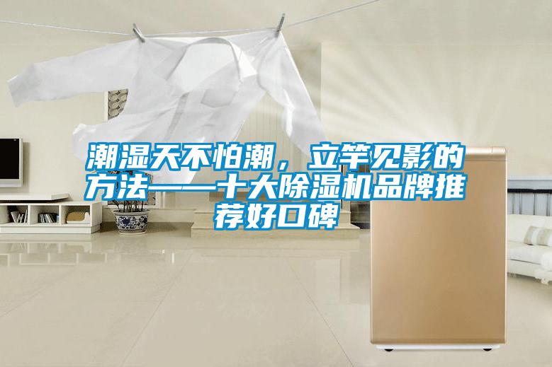 潮濕天不怕潮，立竿見(jiàn)影的方法——十大除濕機(jī)品牌推薦好口碑