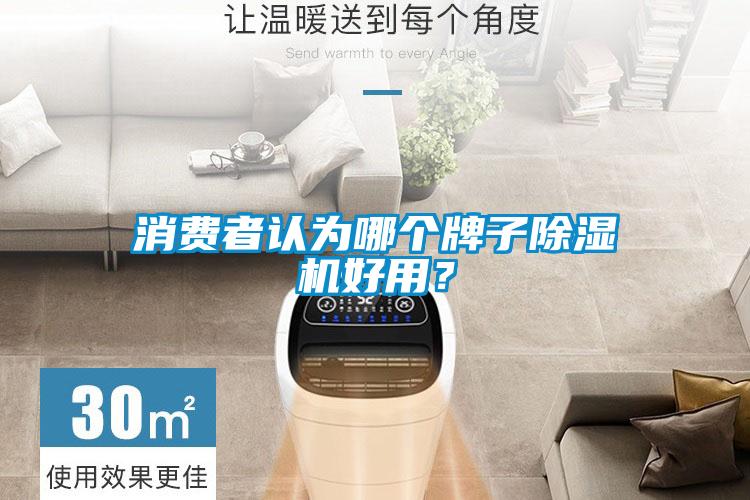 消費者認為哪個牌子除濕機好用？