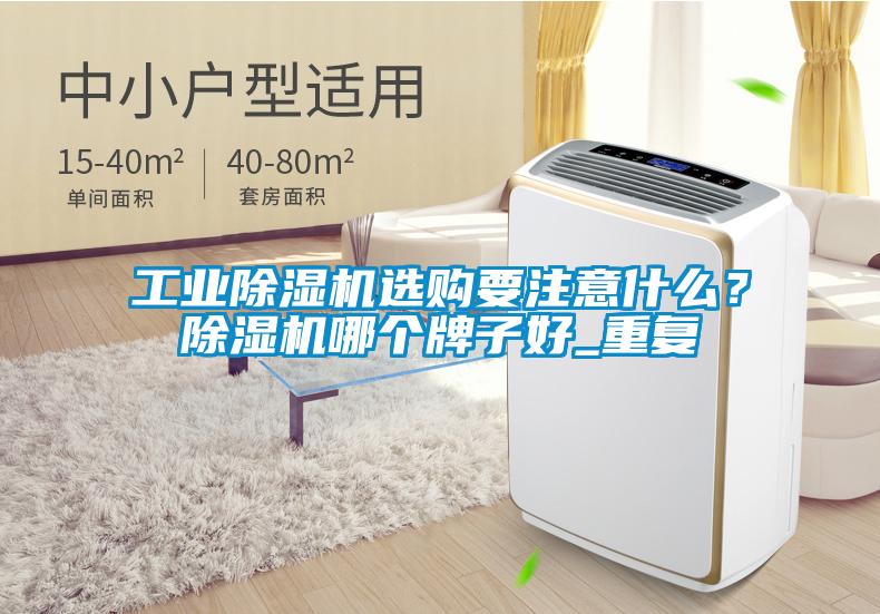 工業除濕機選購要注意什么？除濕機哪個牌子好_重復