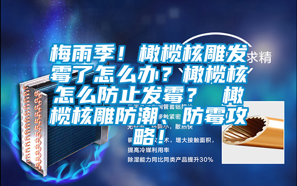梅雨季！橄欖核雕發霉了怎么辦？橄欖核怎么防止發霉？ 橄欖核雕防潮、防霉攻略！