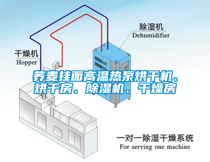蕎麥掛面高溫熱泵烘干機、烘干房、除濕機、干燥房