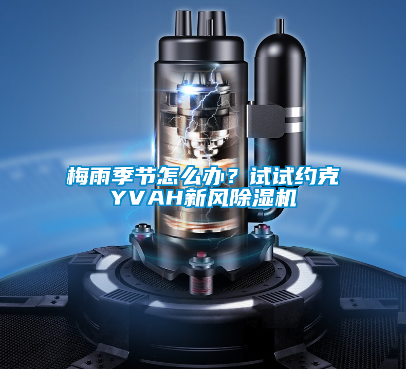 梅雨季節(jié)怎么辦？試試約克YVAH新風除濕機