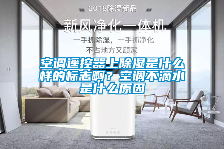 空調(diào)遙控器上除濕是什么樣的標(biāo)志啊？空調(diào)不滴水是什么原因