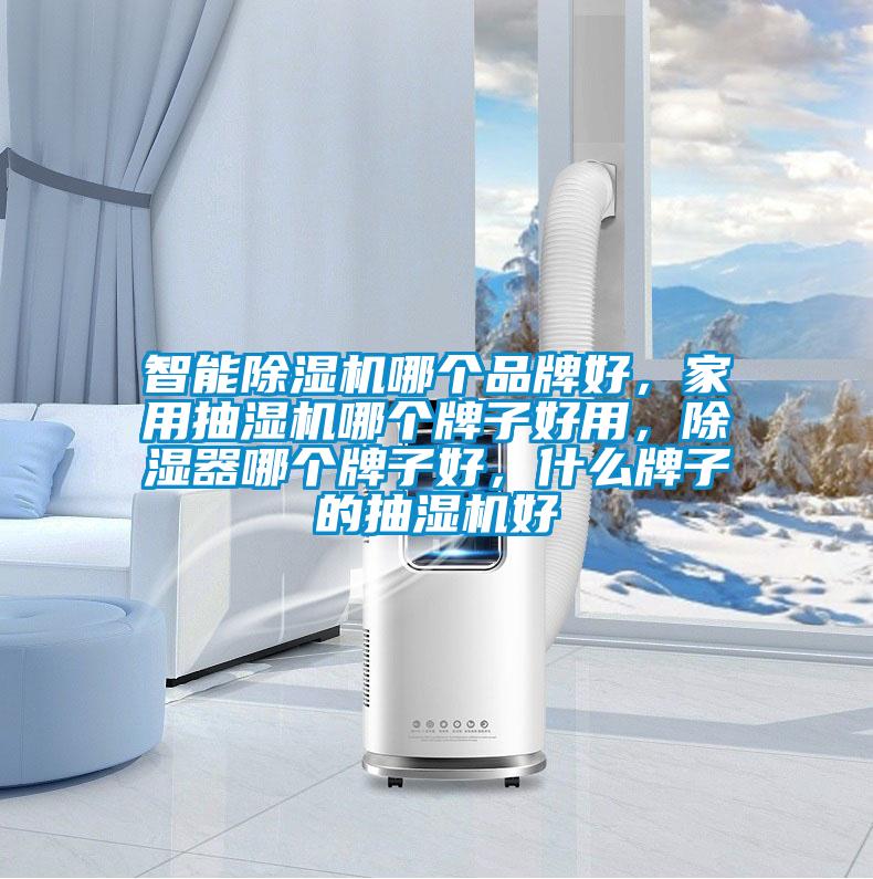 智能除濕機(jī)哪個品牌好，家用抽濕機(jī)哪個牌子好用，除濕器哪個牌子好，什么牌子的抽濕機(jī)好