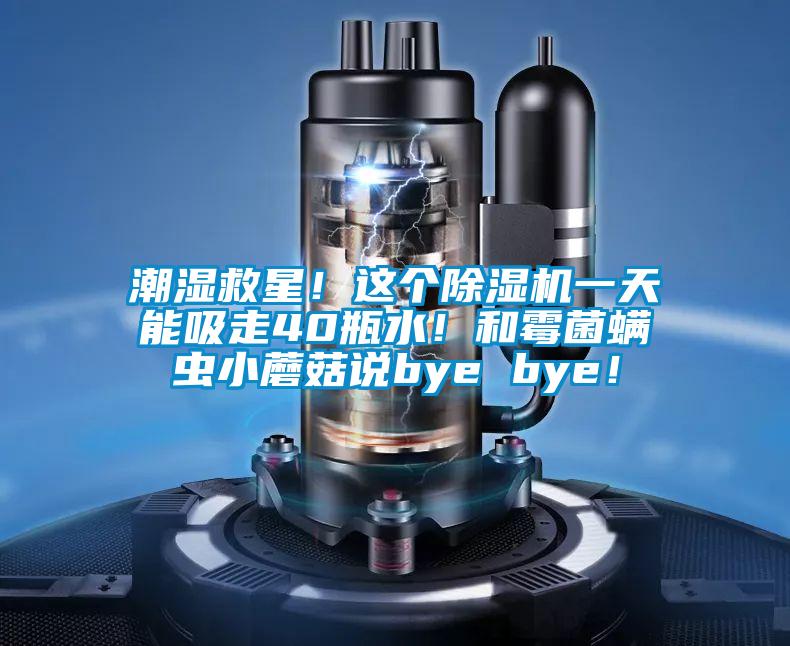 潮濕救星！這個除濕機一天能吸走40瓶水！和霉菌螨蟲小蘑菇說bye bye！