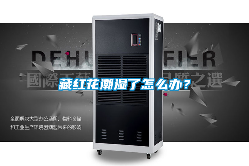 藏紅花潮濕了怎么辦?
