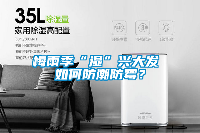 梅雨季“濕”興大發 如何防潮防霉？