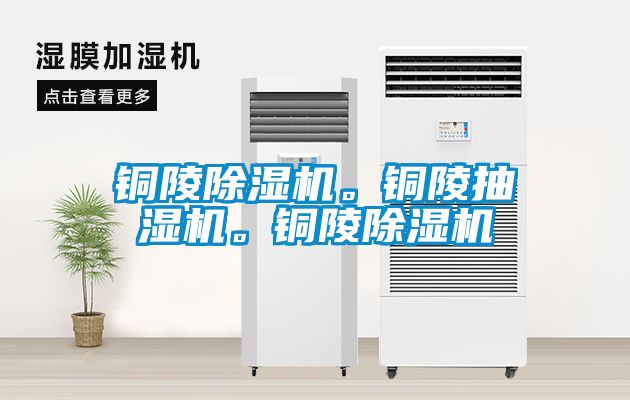 銅陵除濕機。銅陵抽濕機。銅陵除濕機