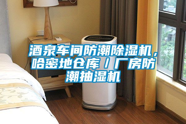 酒泉車間防潮除濕機，哈密地倉庫／廠房防潮抽濕機