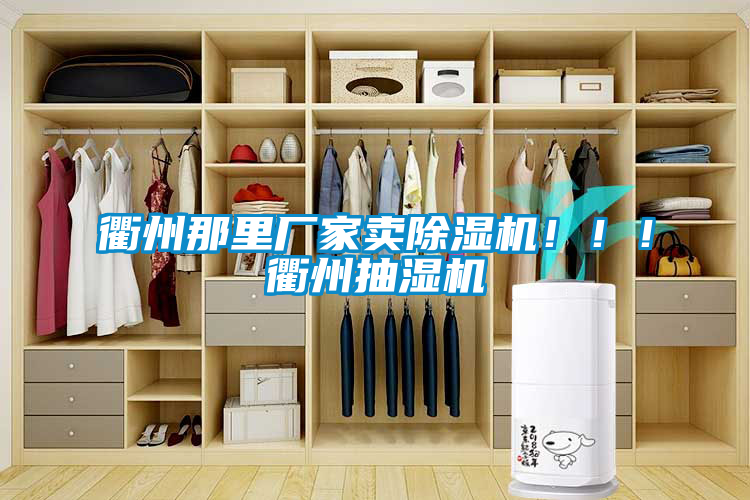 衢州那里廠家賣(mài)除濕機(jī)！！！衢州抽濕機(jī)