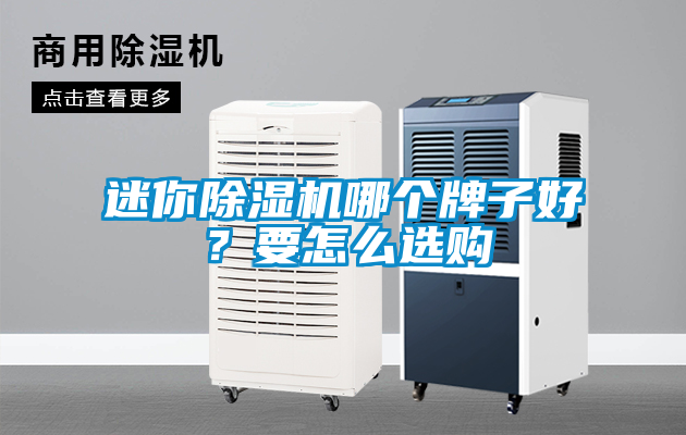 迷你除濕機哪個牌子好？要怎么選購