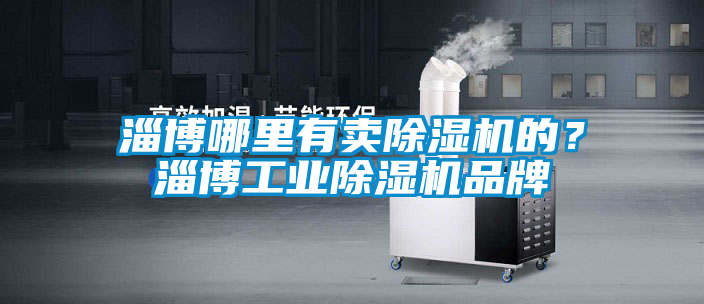 淄博哪里有賣除濕機的？淄博工業除濕機品牌