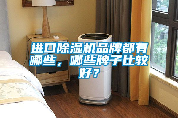 進口除濕機品牌都有哪些，哪些牌子比較好？