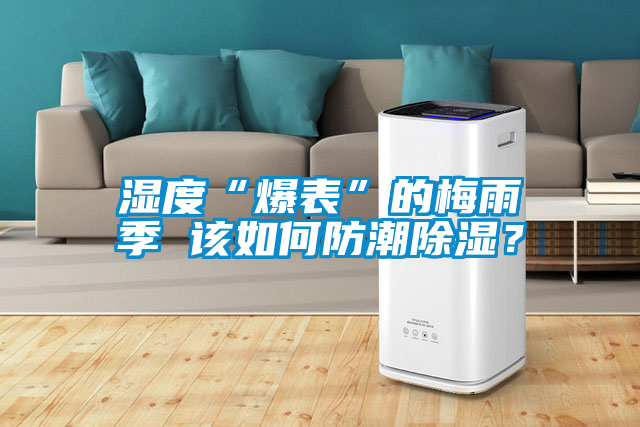 濕度“爆表”的梅雨季 該如何防潮除濕?