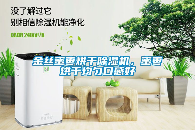 金絲蜜棗烘干除濕機，蜜棗烘干均勻口感好