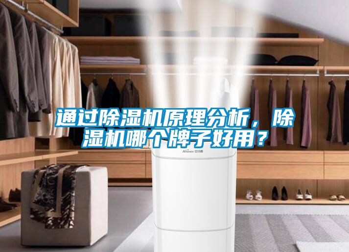 通過除濕機(jī)原理分析，除濕機(jī)哪個(gè)牌子好用？