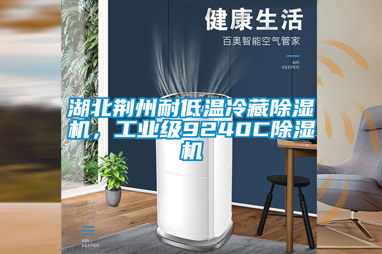 湖北荊州耐低溫冷藏除濕機(jī),工業(yè)級(jí)9240C除濕機(jī)