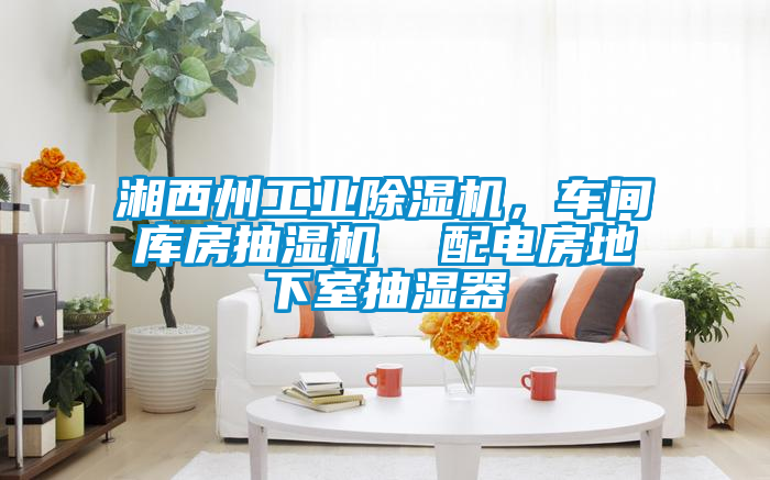 湘西州工業除濕機,車間庫房抽濕機  配電房地下室抽濕器