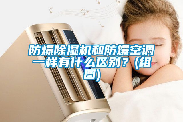 防爆除濕機(jī)和防爆空調(diào)一樣有什么區(qū)別？(組圖)