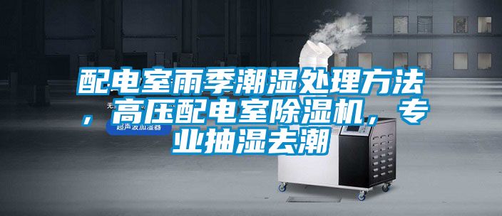 配電室雨季潮濕處理方法，高壓配電室除濕機，專業抽濕去潮