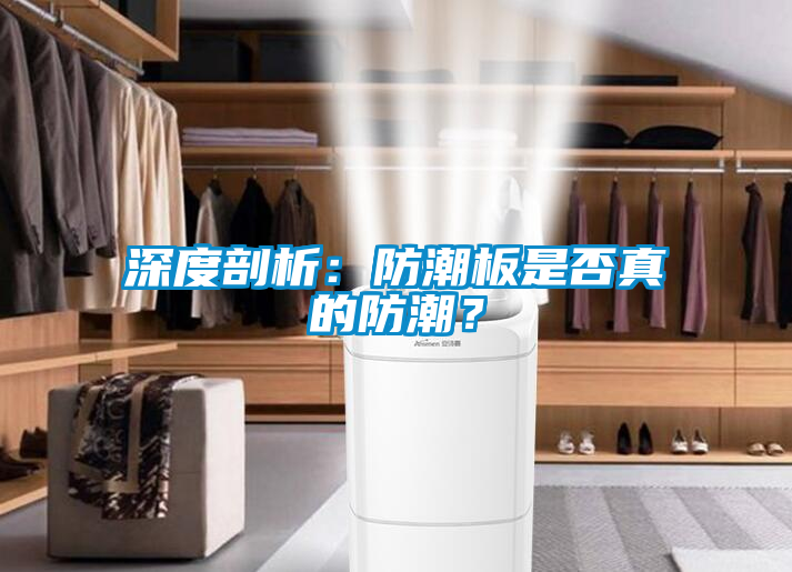 深度剖析：防潮板是否真的防潮？
