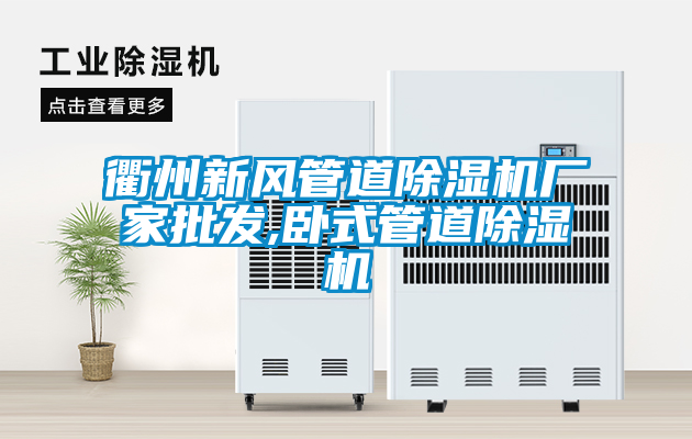 衢州新風(fēng)管道除濕機(jī)廠(chǎng)家批發(fā),臥式管道除濕機(jī)