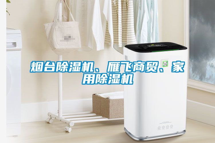煙臺除濕機(jī)、雁飛商貿(mào)、家用除濕機(jī)