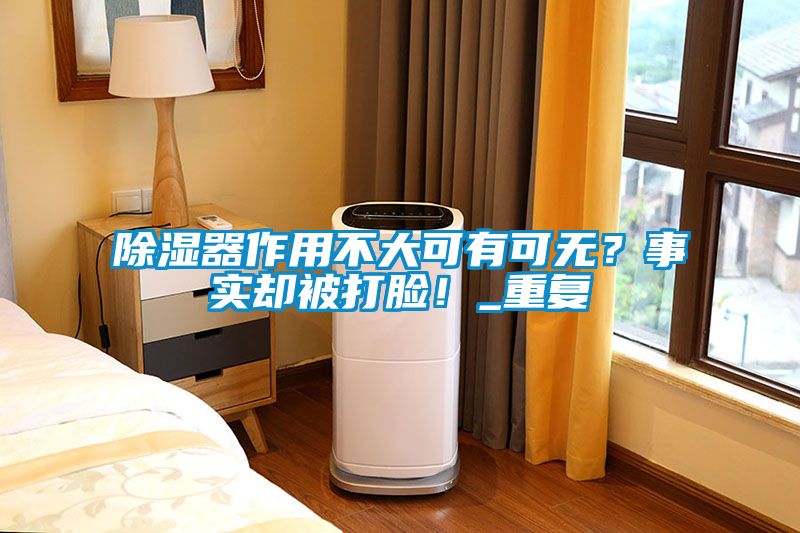 除濕器作用不大可有可無？事實卻被打臉！_重復(fù)