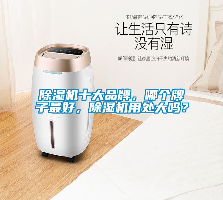 除濕機(jī)十大品牌，哪個(gè)牌子最好，除濕機(jī)用處大嗎？