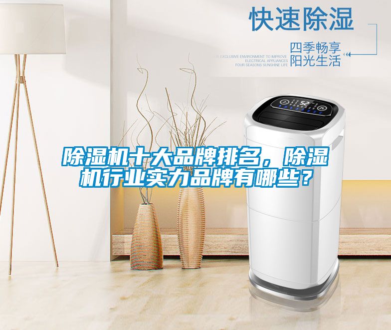 除濕機(jī)十大品牌排名，除濕機(jī)行業(yè)實(shí)力品牌有哪些？