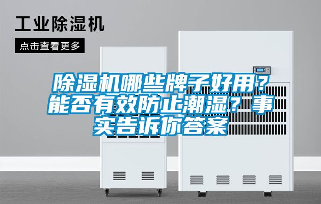 除濕機(jī)哪些牌子好用？能否有效防止潮濕？事實(shí)告訴你答案