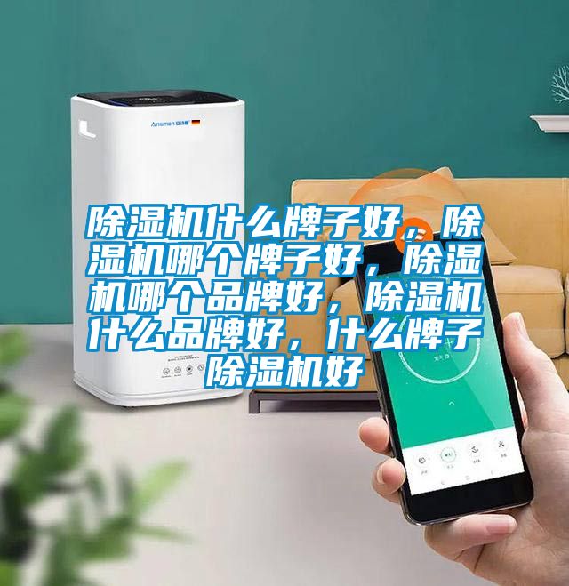 除濕機什么牌子好，除濕機哪個牌子好，除濕機哪個品牌好，除濕機什么品牌好，什么牌子除濕機好