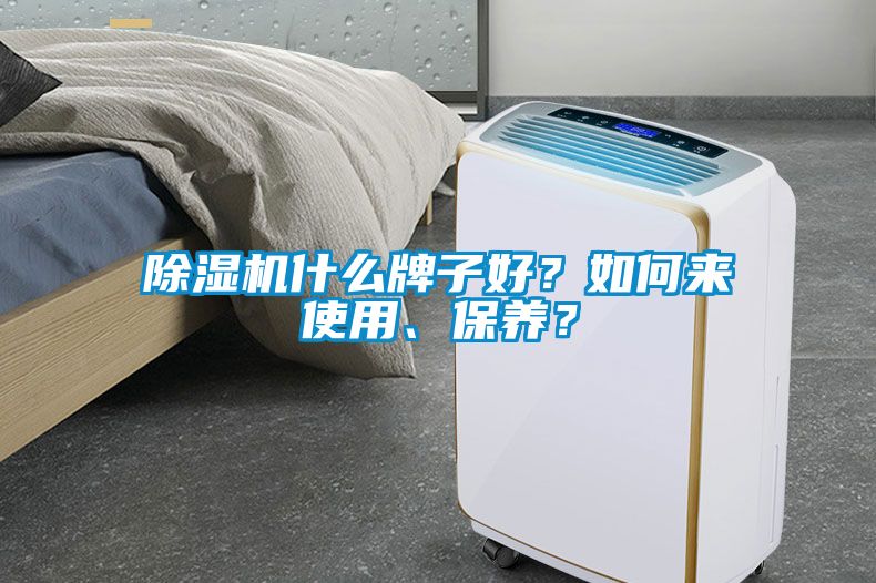 除濕機(jī)什么牌子好？如何來(lái)使用、保養(yǎng)？