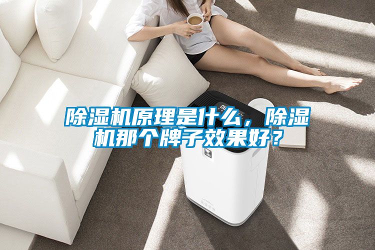 除濕機原理是什么，除濕機那個牌子效果好？
