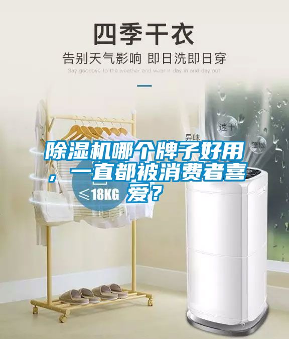 除濕機哪個牌子好用，一直都被消費者喜愛？