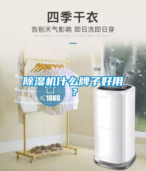 除濕機(jī)什么牌子好用？