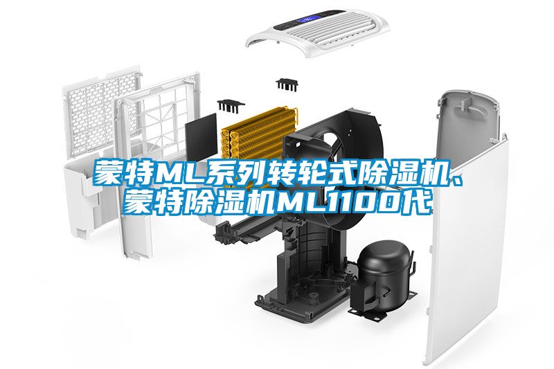 蒙特ML系列轉(zhuǎn)輪式除濕機、蒙特除濕機ML1100代
