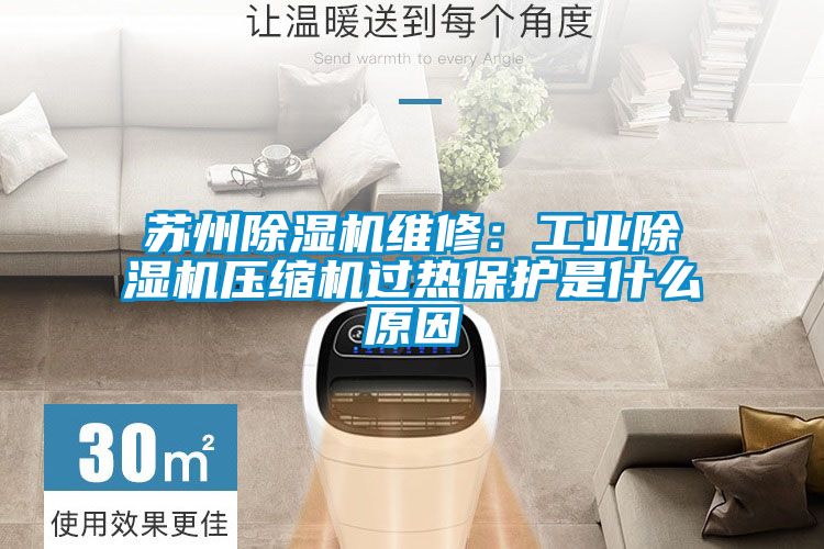 蘇州除濕機維修:工業除濕機壓縮機過熱保護是什么原因