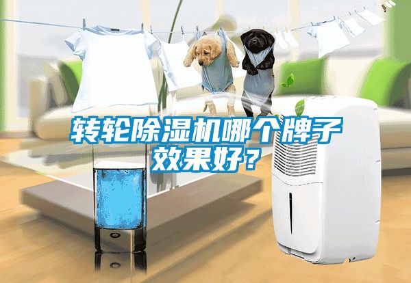 轉(zhuǎn)輪除濕機(jī)哪個(gè)牌子效果好？